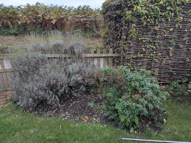 Far-reaching countryside outlook from the garden's open boundary