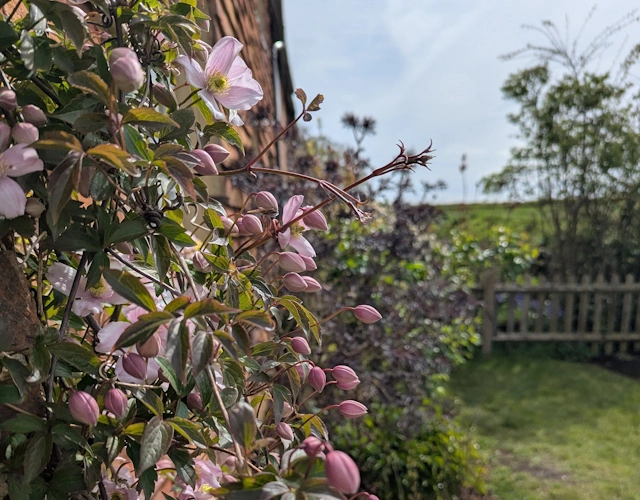 Country garden in Farnham with colourful borders and views across open fields