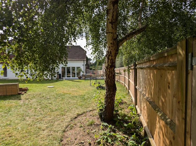 Initial view of the family garden before redesign