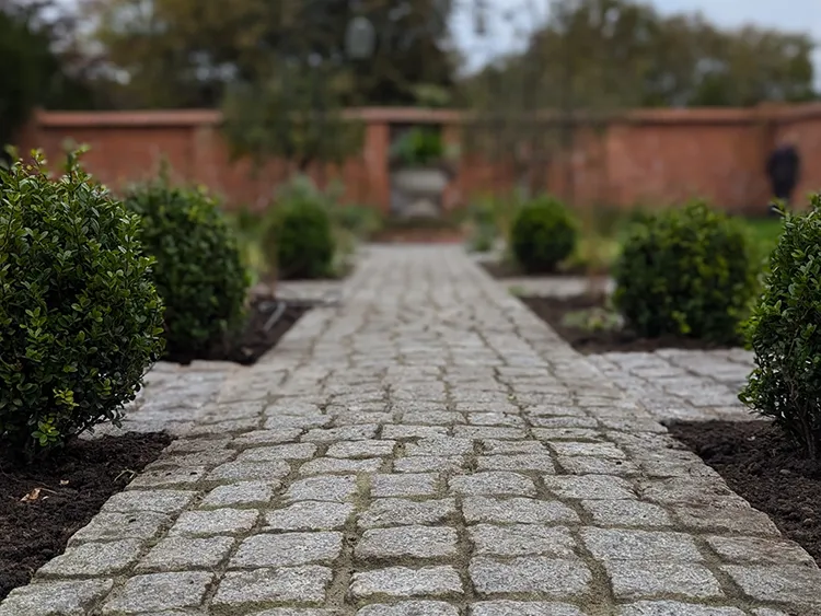 Stone pathway picture from close to the ground