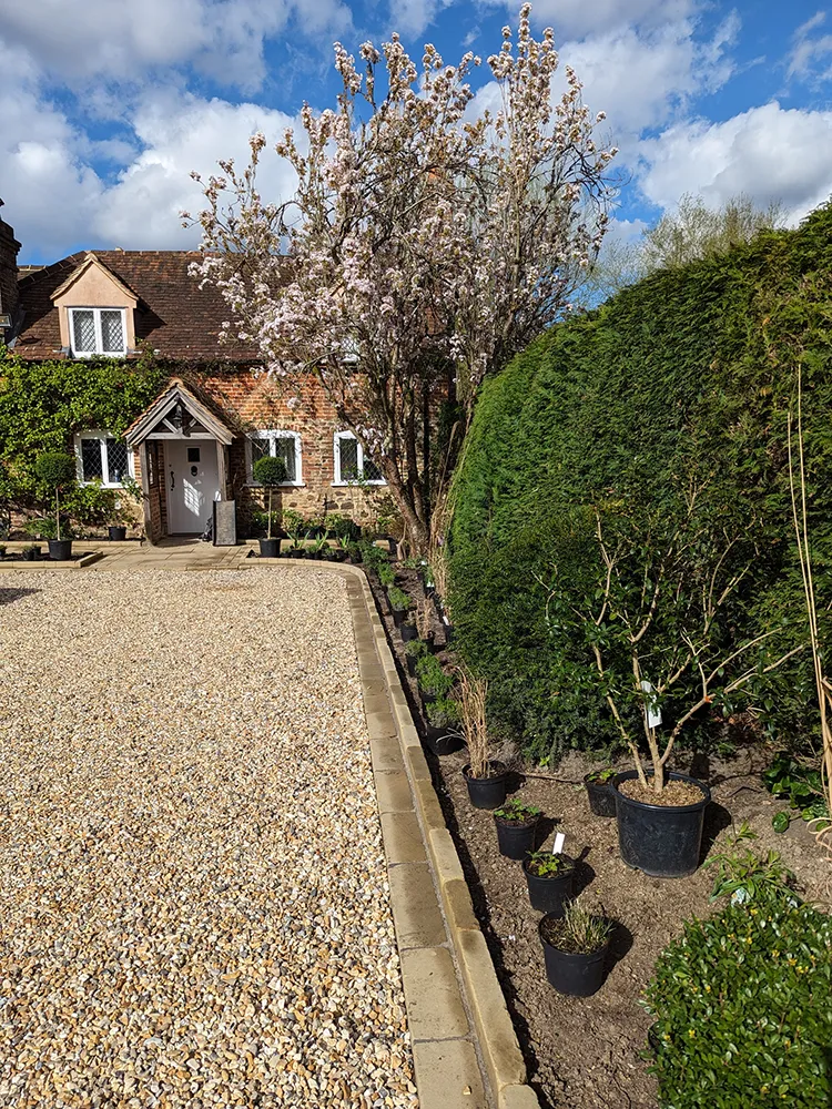Gravel driveway with planting alongside