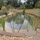A wildlife pond with yin-yang shape and bog garden